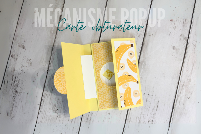 mecanisme popup carte obturateur-2