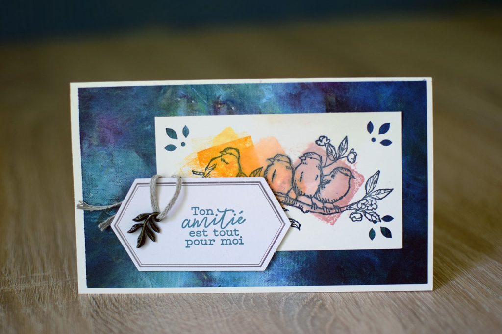 carte oiseau et tamponnage bloc transparent 3
