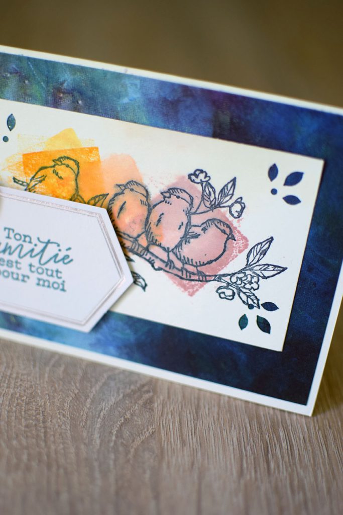 carte oiseau et tamponnage bloc transparent 4