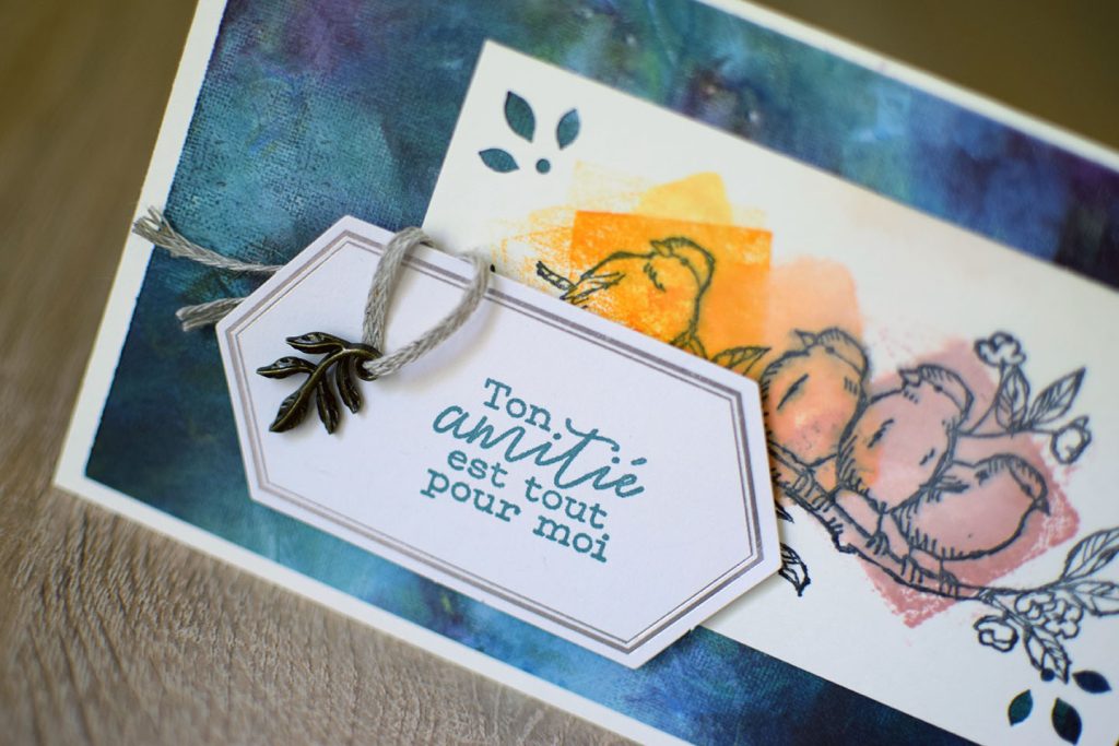 carte oiseau et tamponnage bloc transparent 5