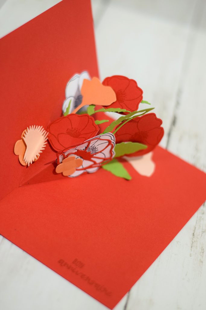 carte popup pliage bec 9