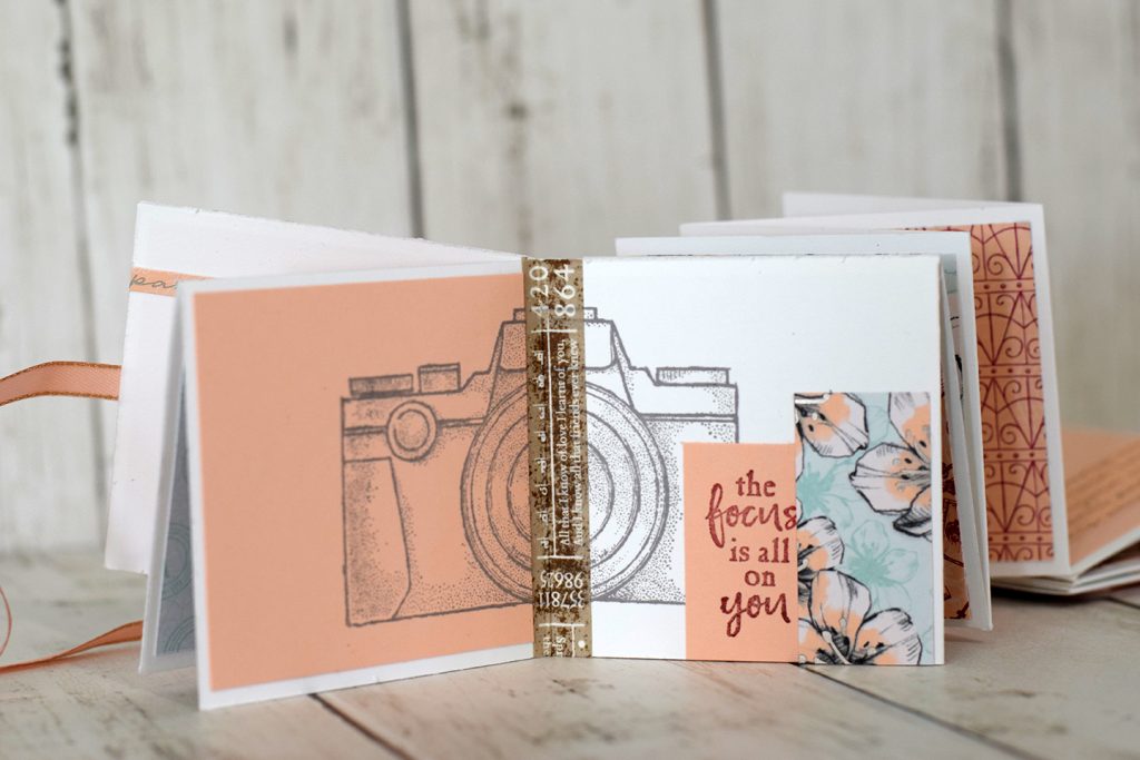 mini album accordeon petale rose 5