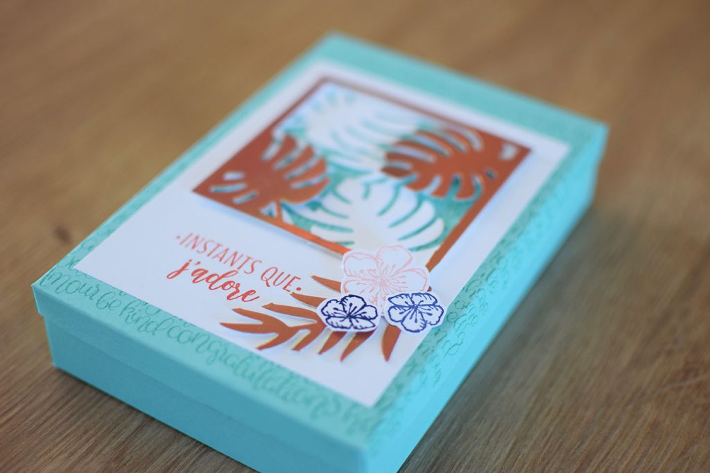 mini album tropical en boite 1