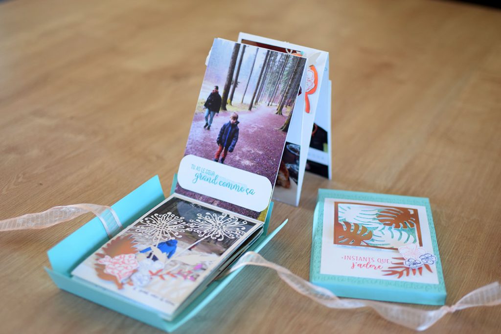 mini album tropical en boite 4