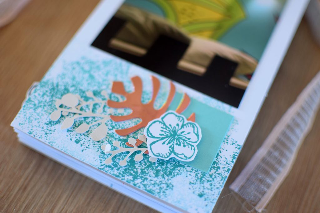 mini album tropical en boite 8