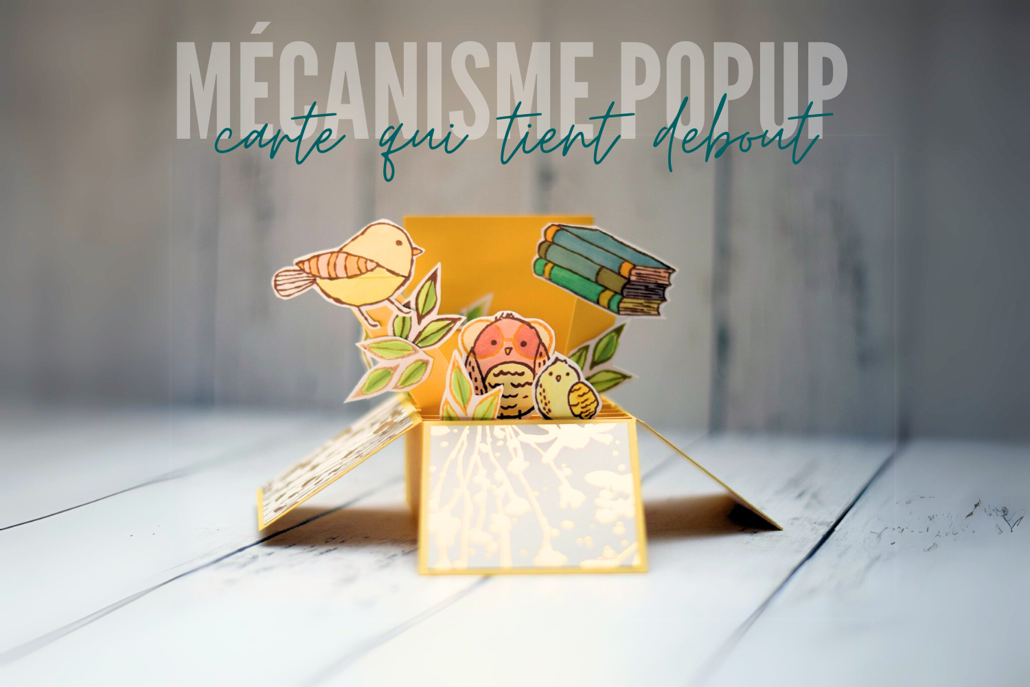 Mécanisme popup : carte boite pliable