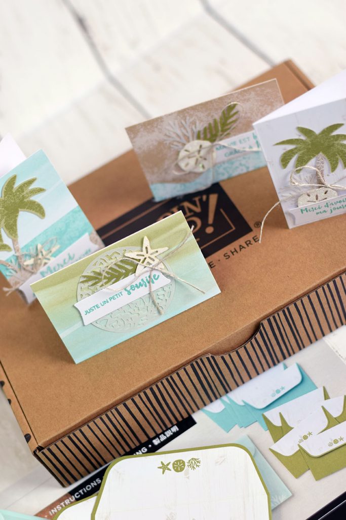 kit stampinup créativité simplifiée Kit stampinup créativité simplifiée