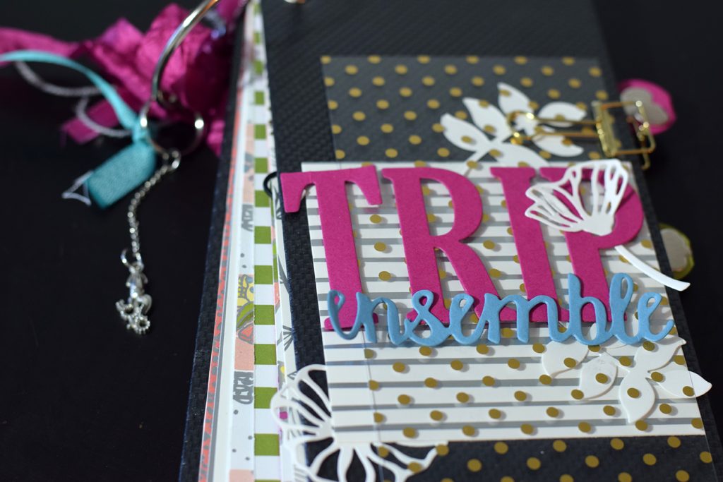 album trip ensemble couverture cuir 1