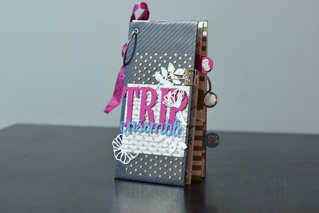 album trip ensemble couverture cuir 2