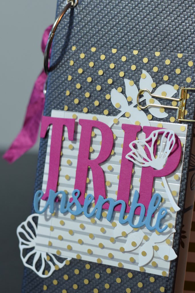album trip ensemble couverture cuir 4