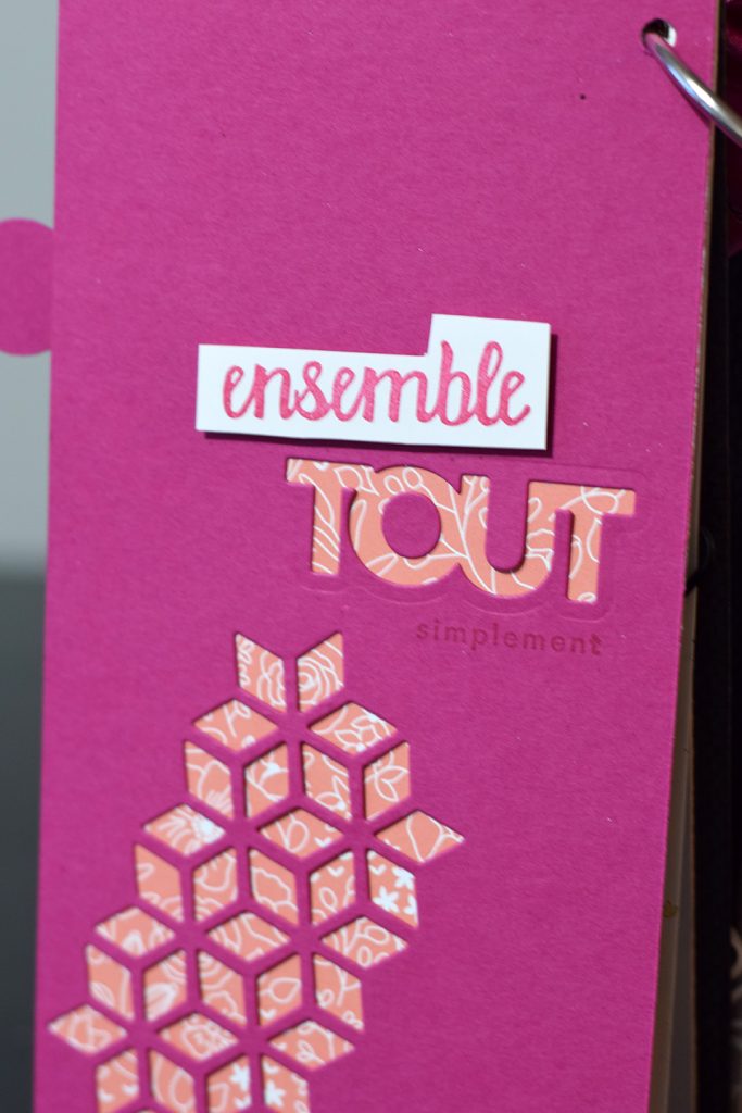 album trip ensemble couverture cuir 5
