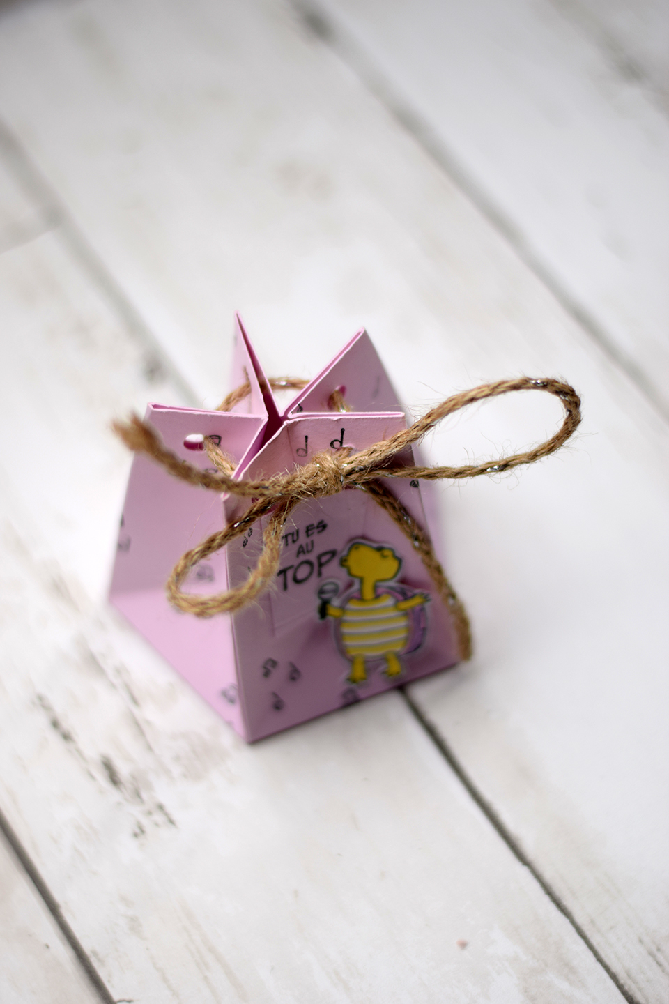 ballotin-à-chocolat-avec-ou-sans-insta-pochette-3