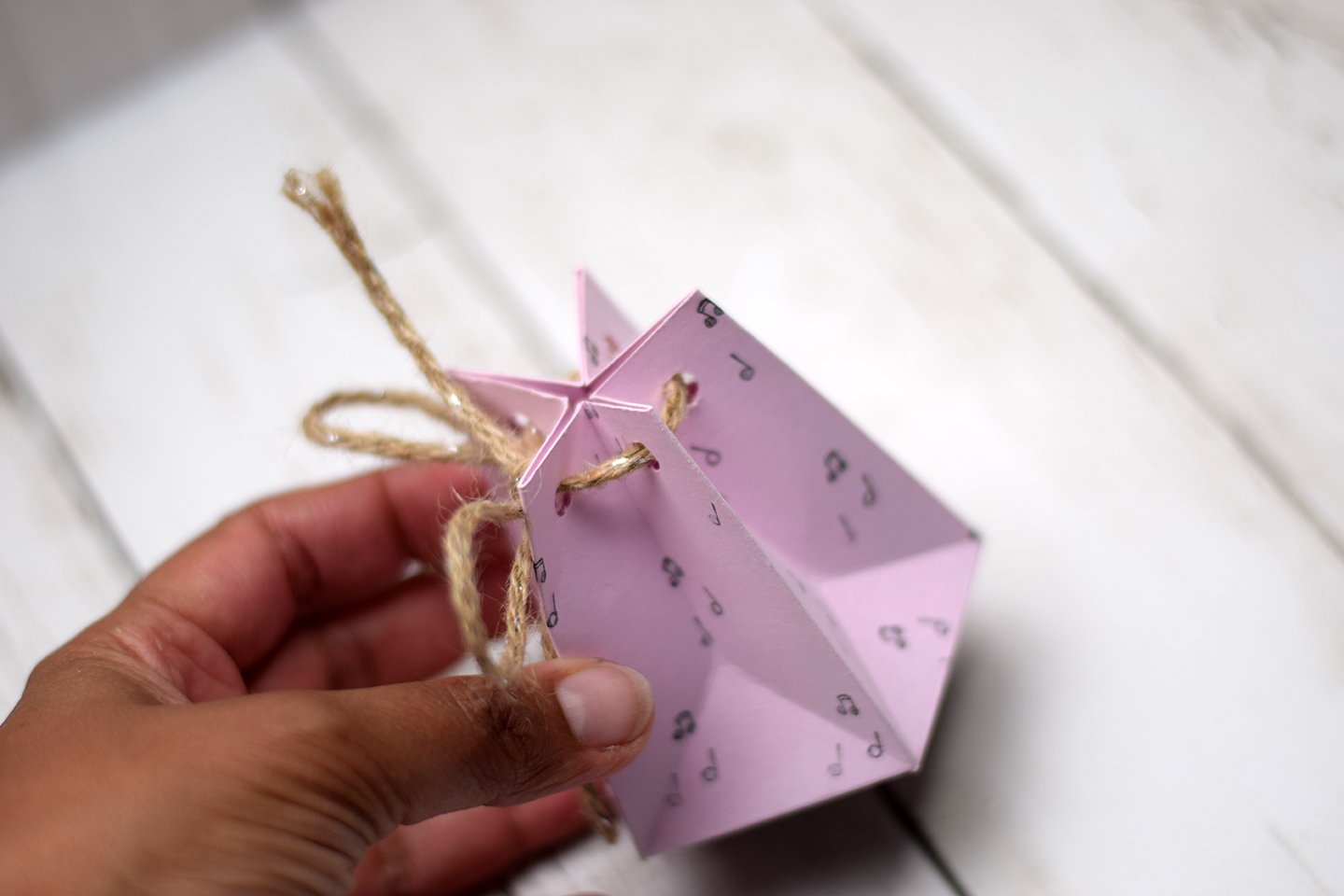 ballotin-à-chocolat-avec-ou-sans-insta-pochette-4