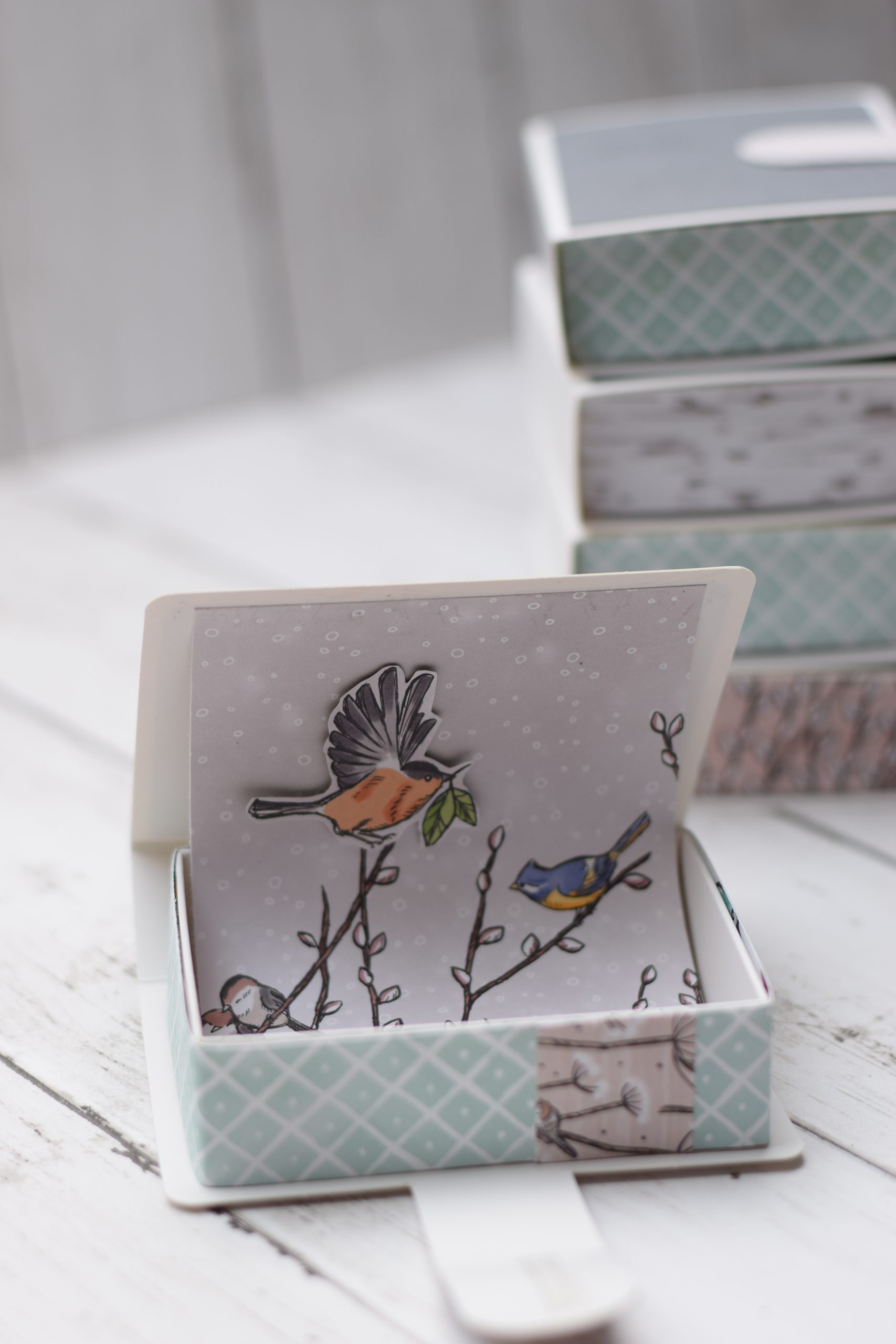 boîte livre popup avec oiseaux en papier DIY