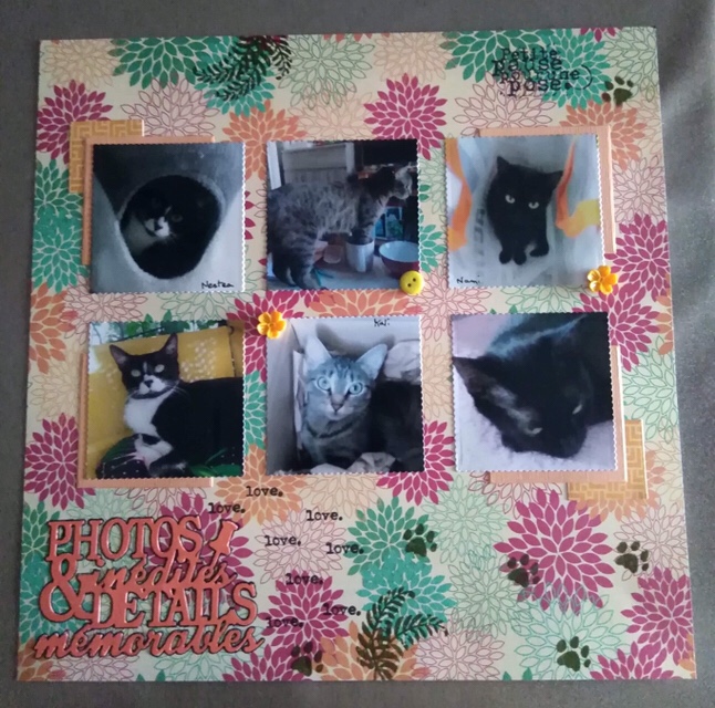 participation concours isabelle