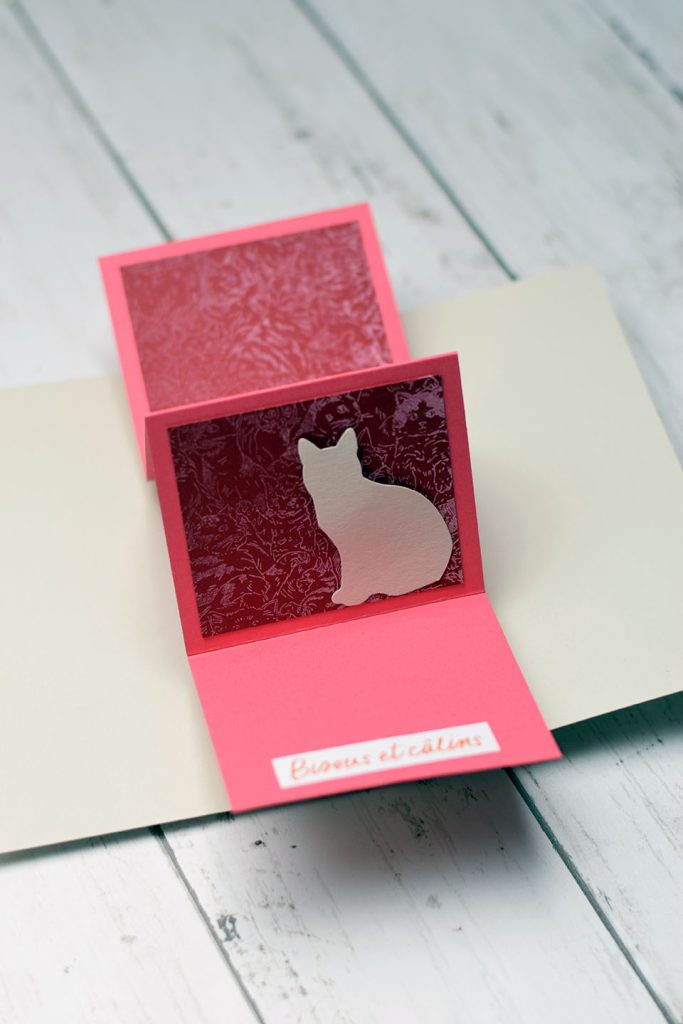 carte twist pivotement Carte twist pivotement