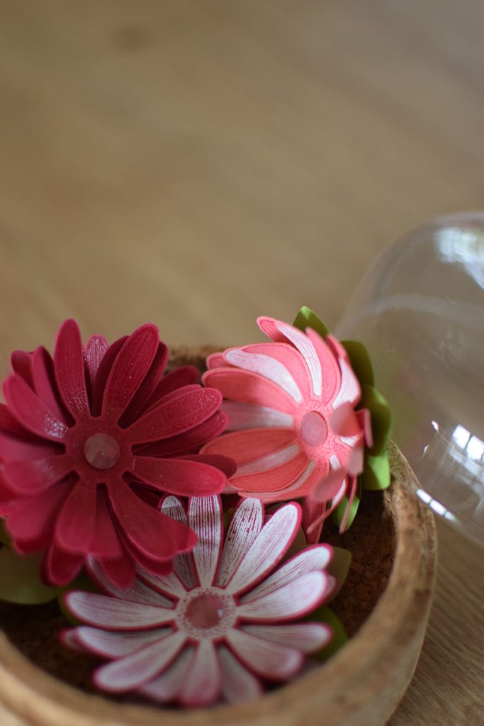 marguerite sous cloche 4