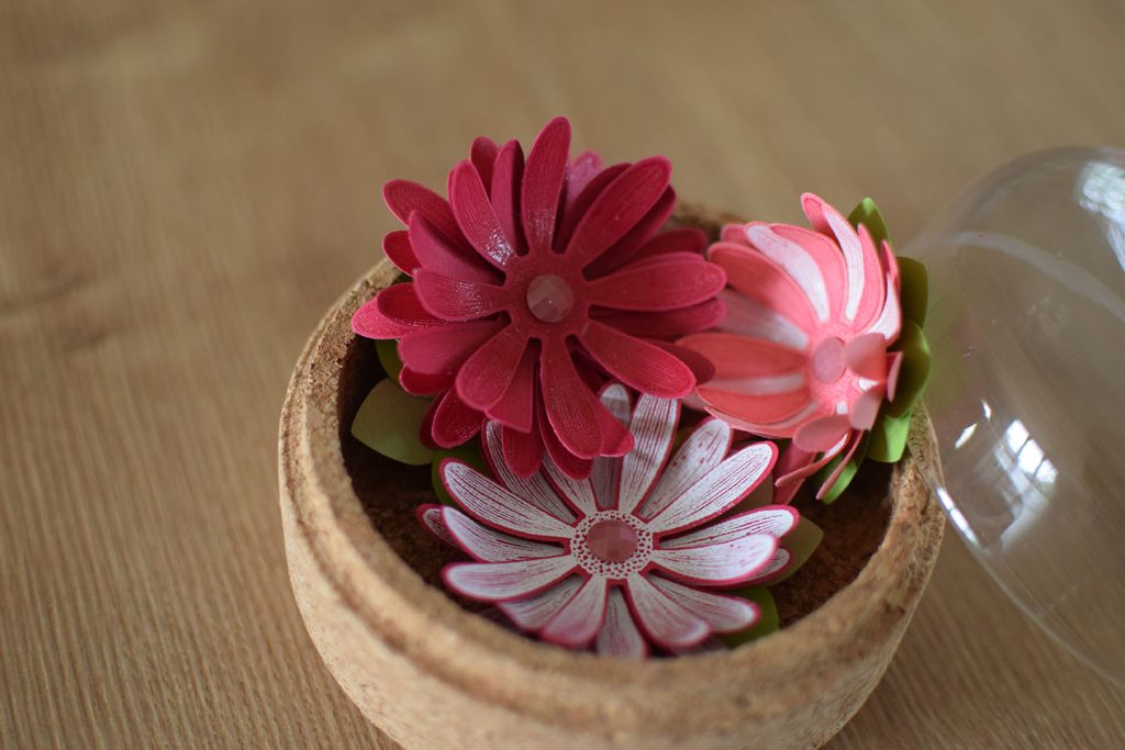 marguerite sous cloche 6