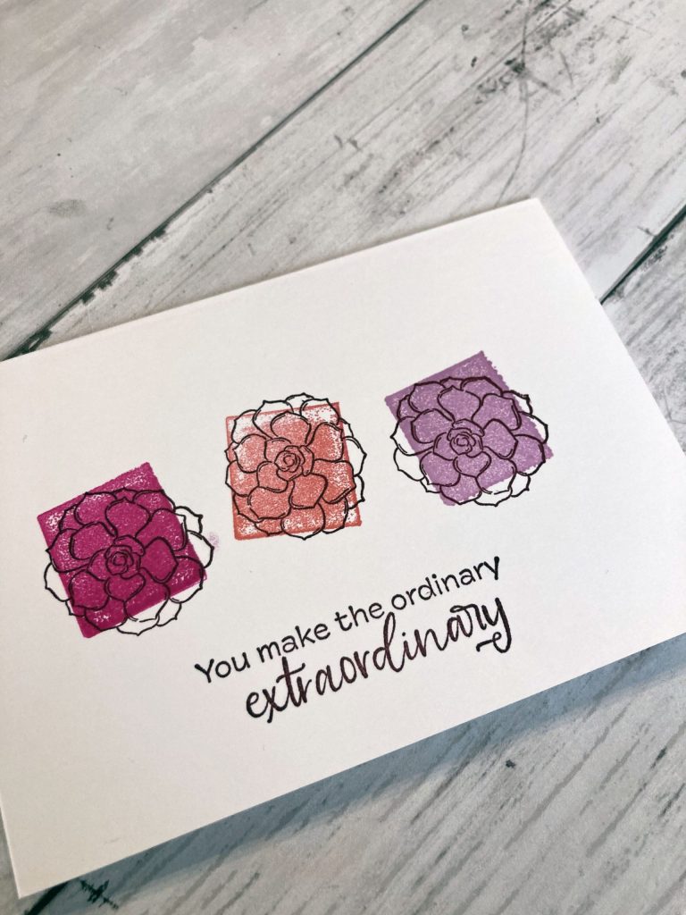 carte bloc transparent succulente 2