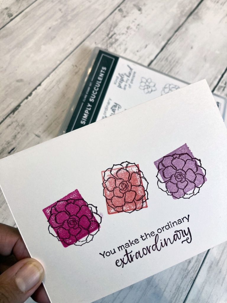 carte bloc transparent succulente 3