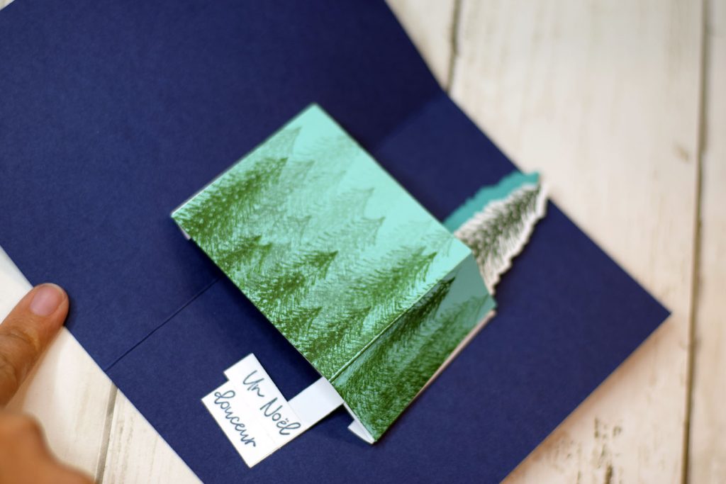 carte popup bras foret 5