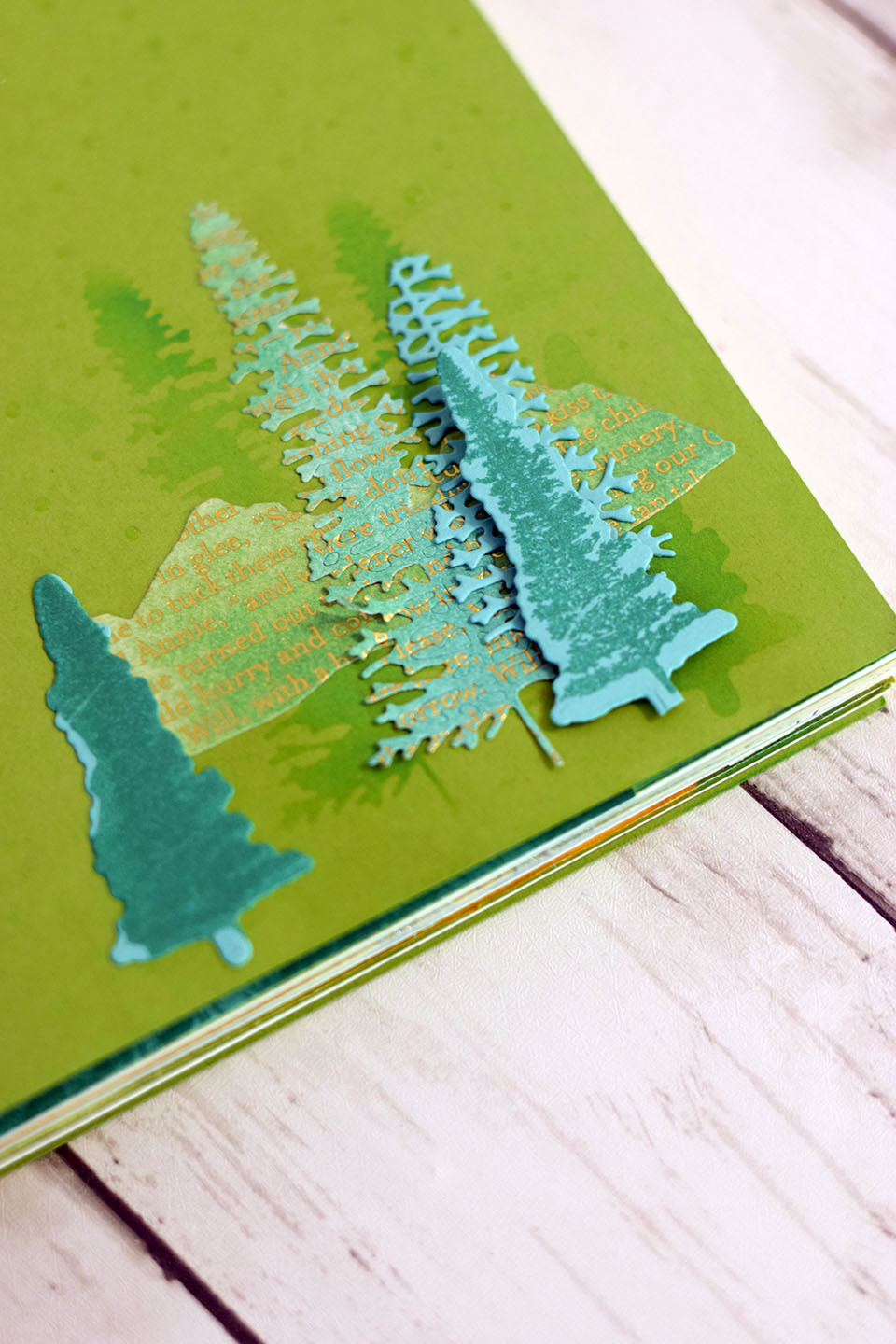 album-photo-brosse-eponge-2