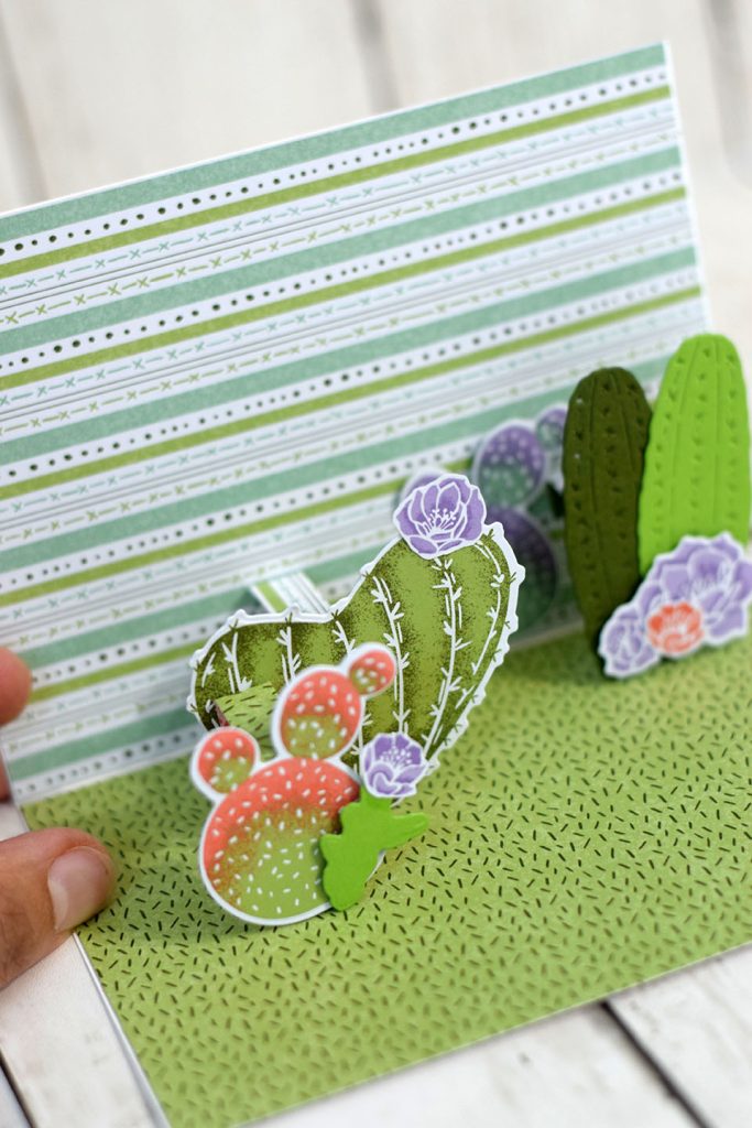 carte popup cactus en fleur 4