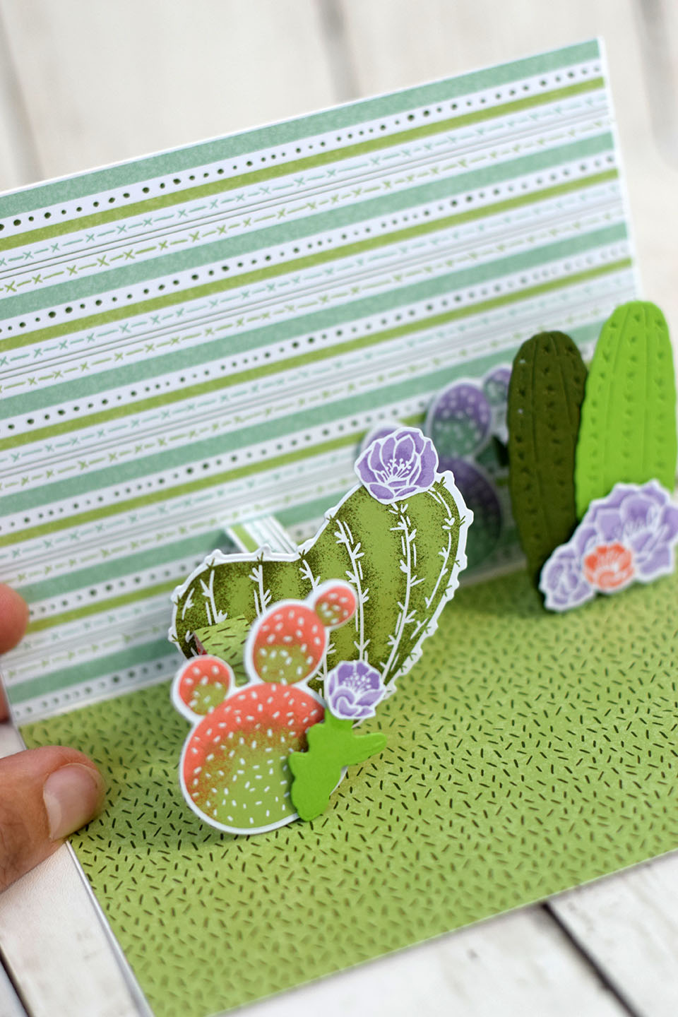 carte-popup-cactus-en-fleur-4
