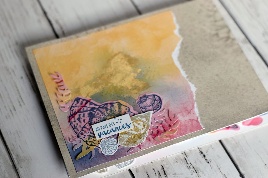 mini album coquillage et crustacé accordéon 1