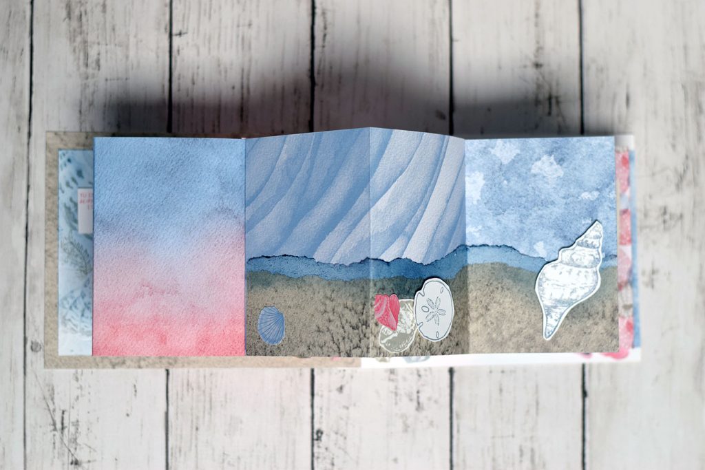 mini album coquillage et crustacé accordéon 8