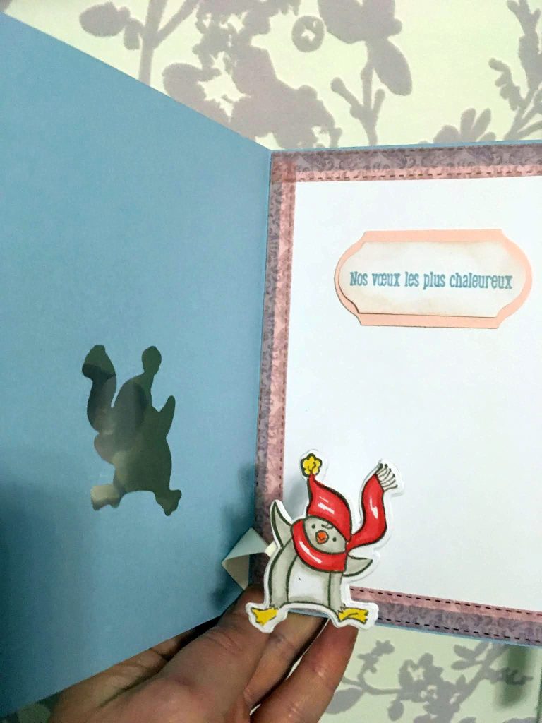 Carterie-francine-demonstratrice-stampinup-6