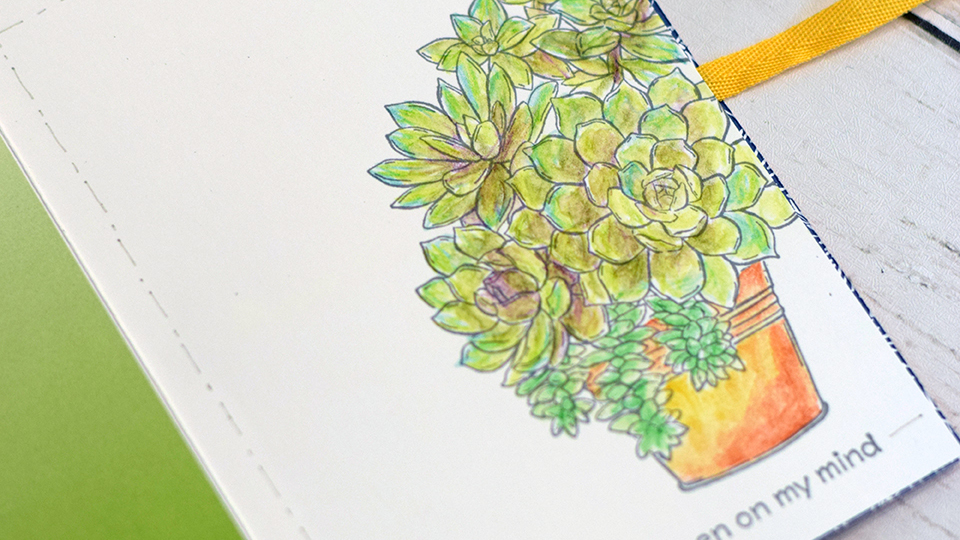 mini album que faire au jardin 6
