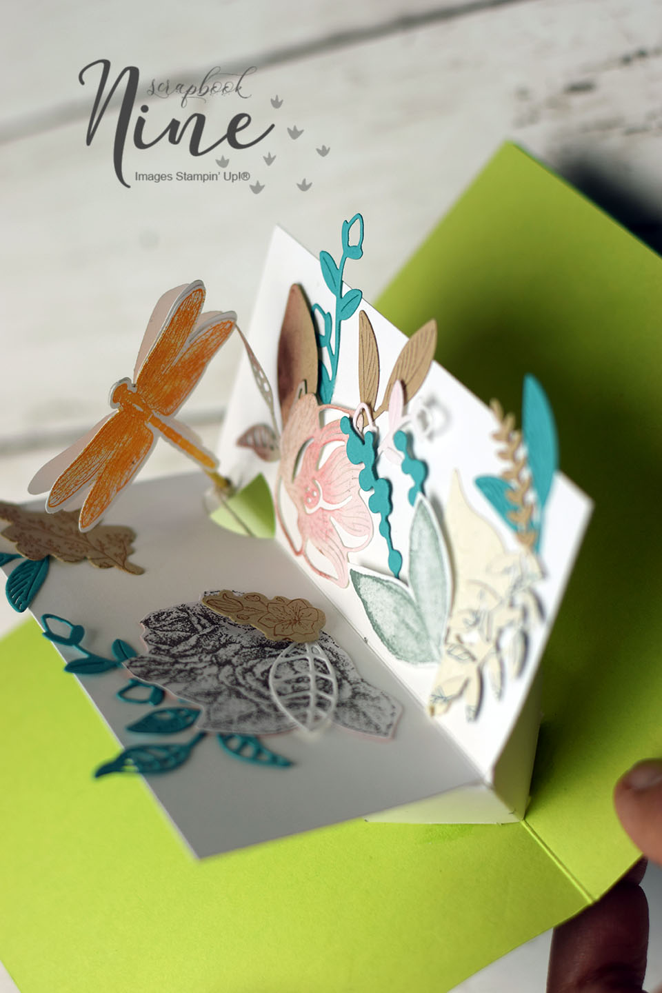 carte popup libellule qui tourne ouverte - vue intérieur mécanisme