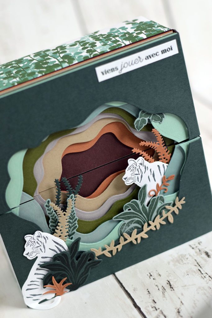 boite diorama felin 2