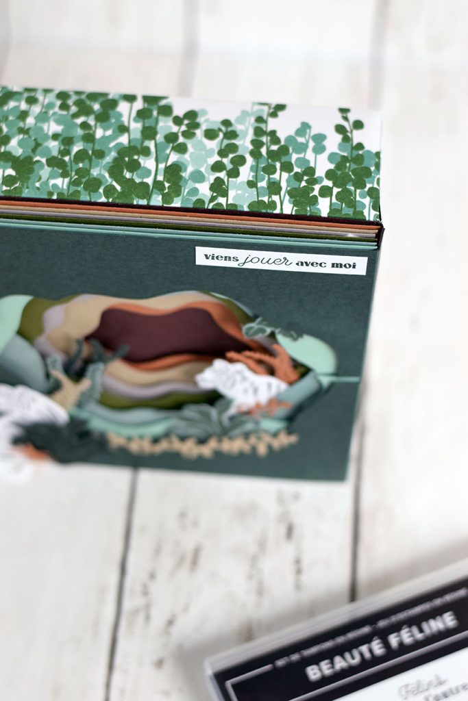 boite diorama felin 4