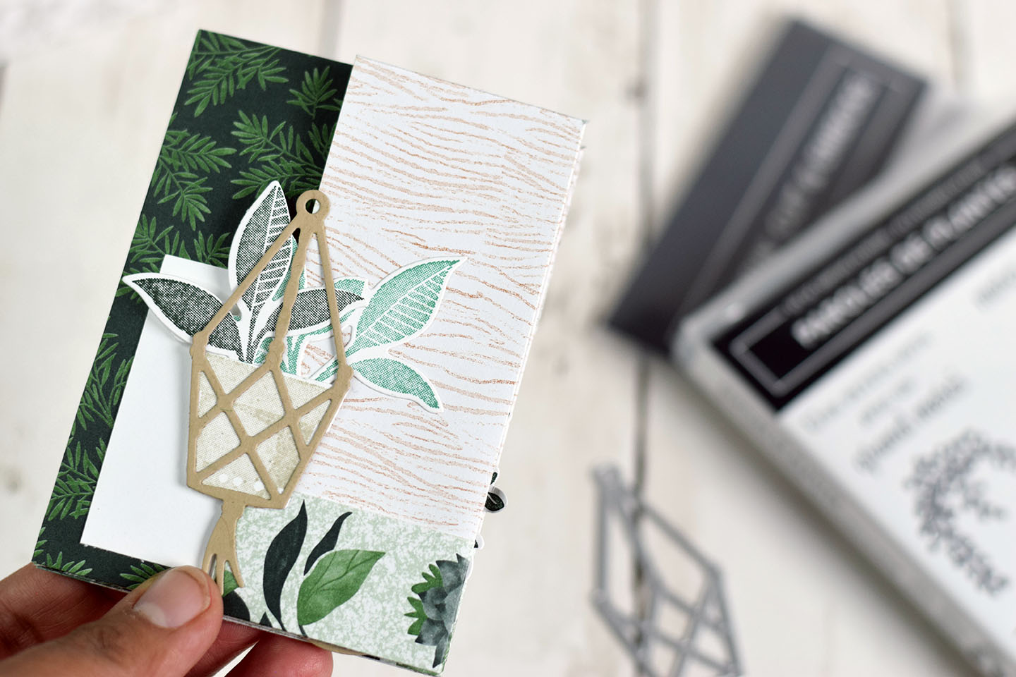 verriere-jardiniere-en-papier-mini-album-plantes-5