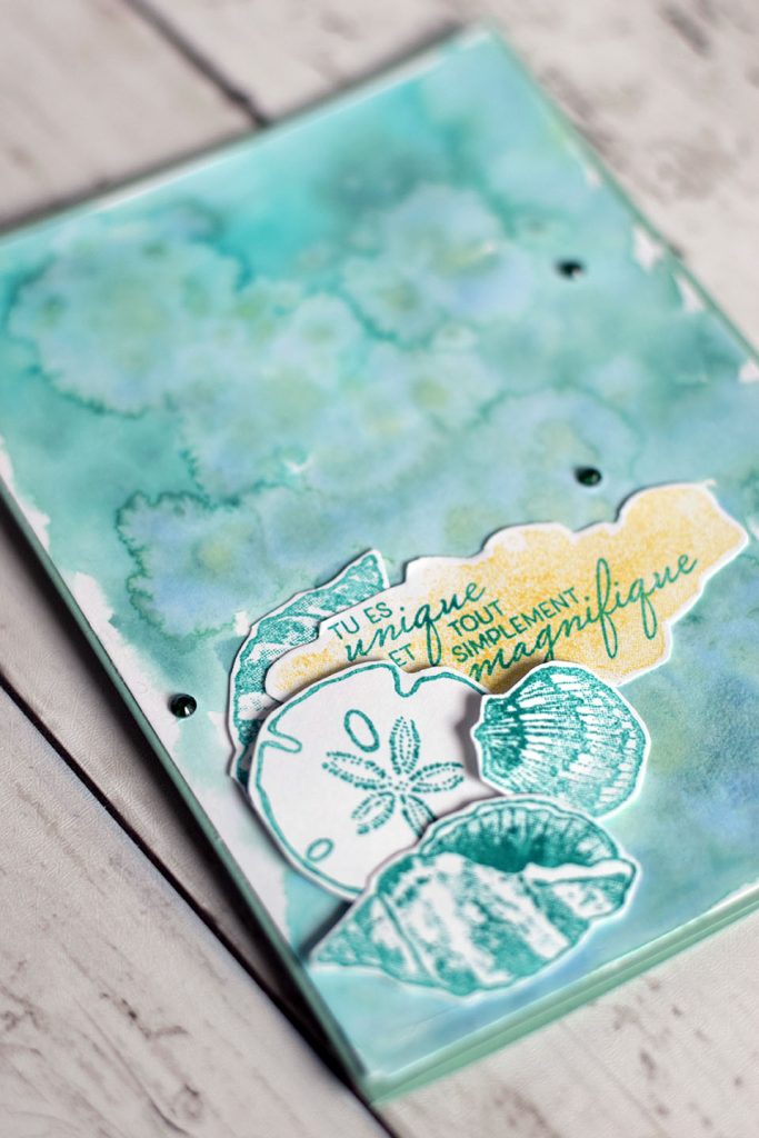 carte coquillage aquarelle sel 2