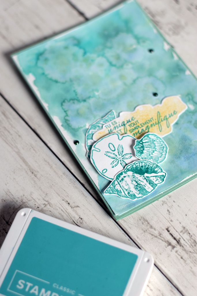 carte coquillage aquarelle sel 4