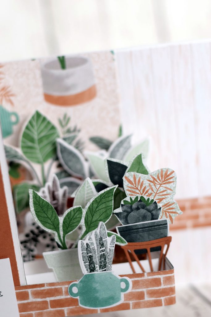 carte popu z paroles plantes 5