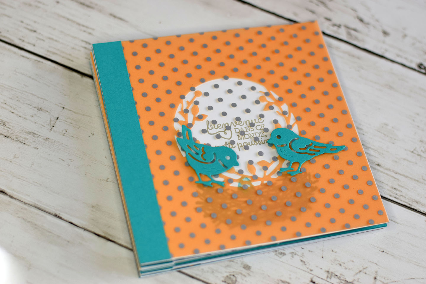 mini-album-papaye-pale-oiseau-1