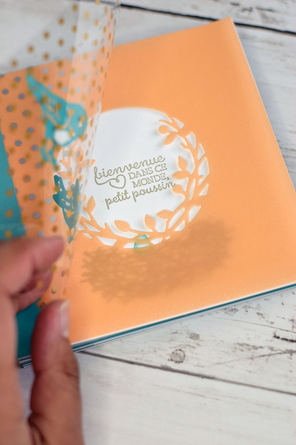 Mini-album scrapbooking fait main avec vélin pâle papaye et reliure collée