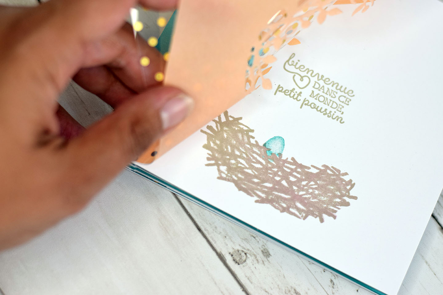 mini-album-papaye-pale-oiseau-3
