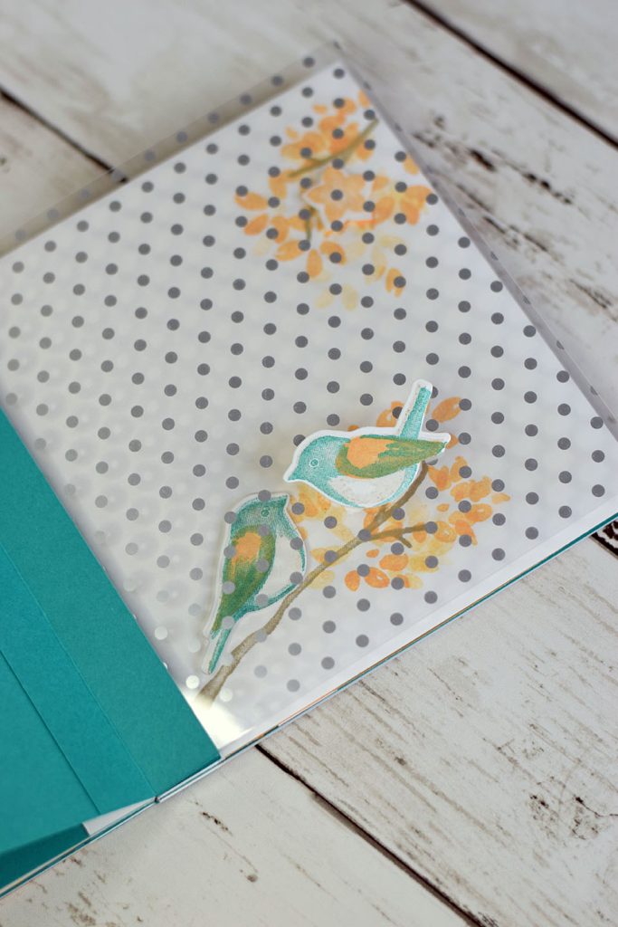 mini album papaye pale oiseau 5