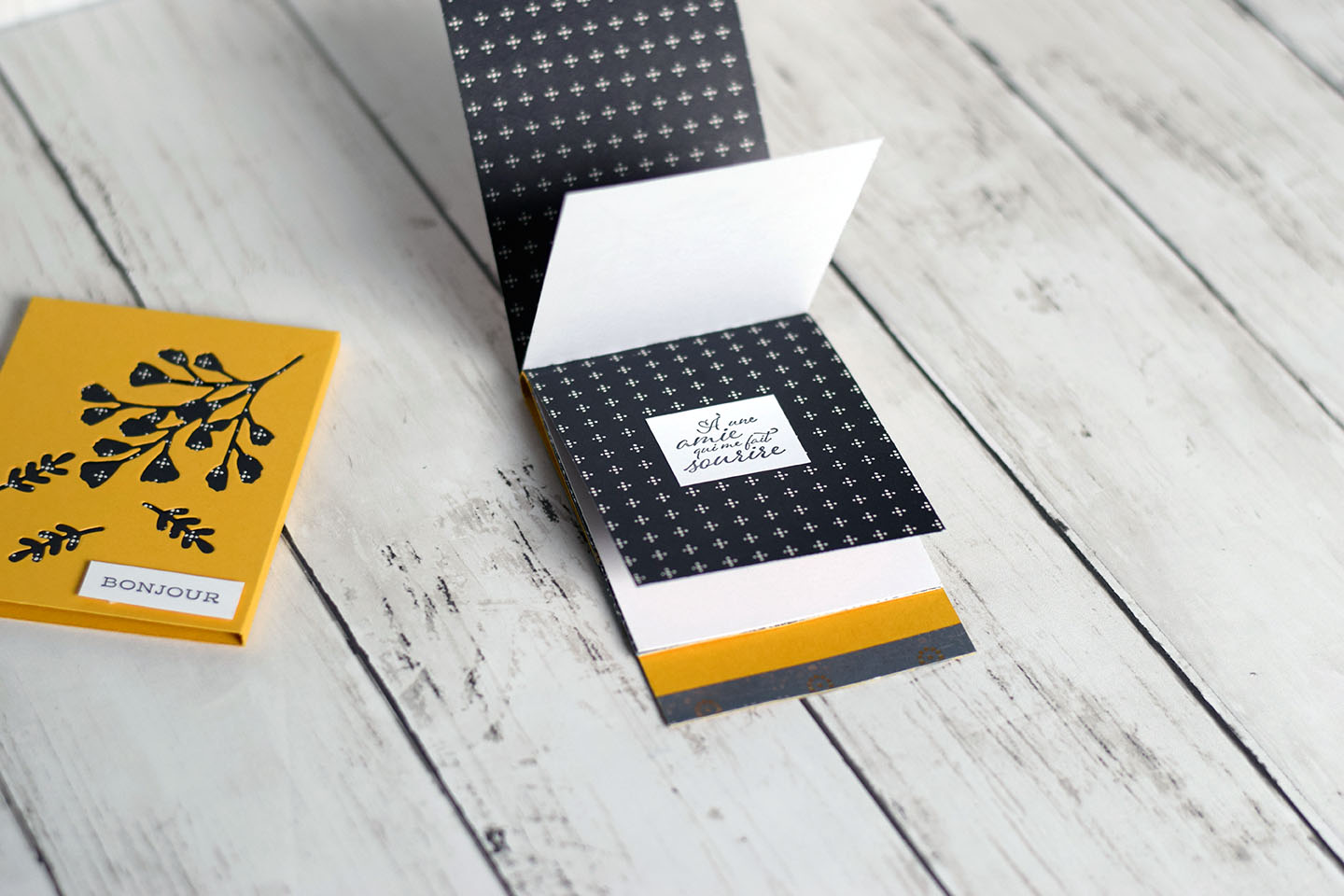 Carte cascade dans sa pochette