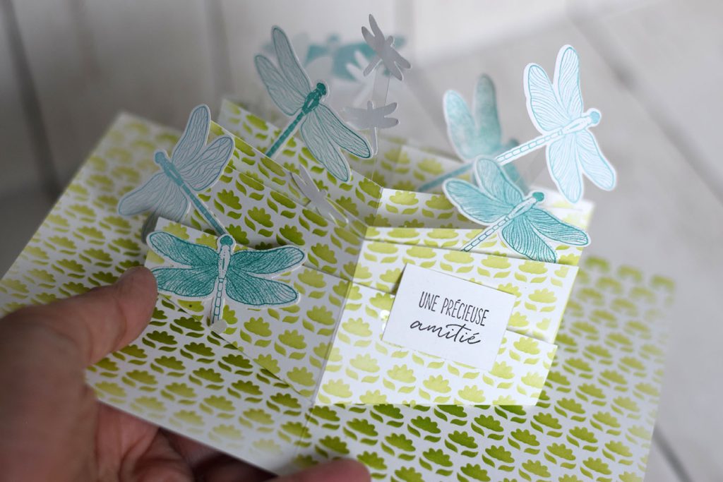 carte libellule popup multiple 6