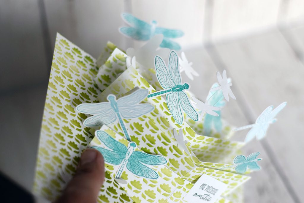 carte libellule popup multiple 7