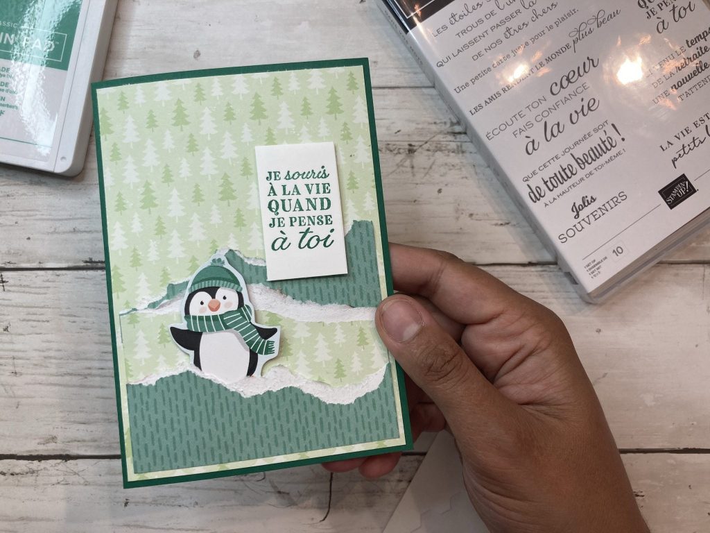 carte popup double pingouin 23