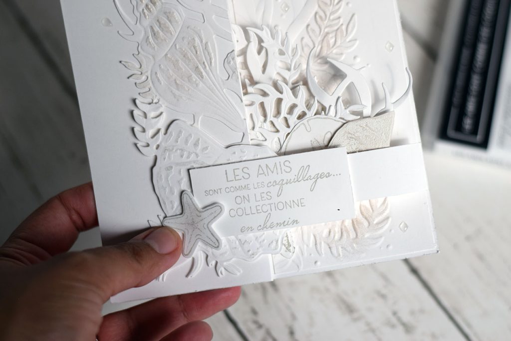 carte blanc sur blanc bloghop crazycuts 6