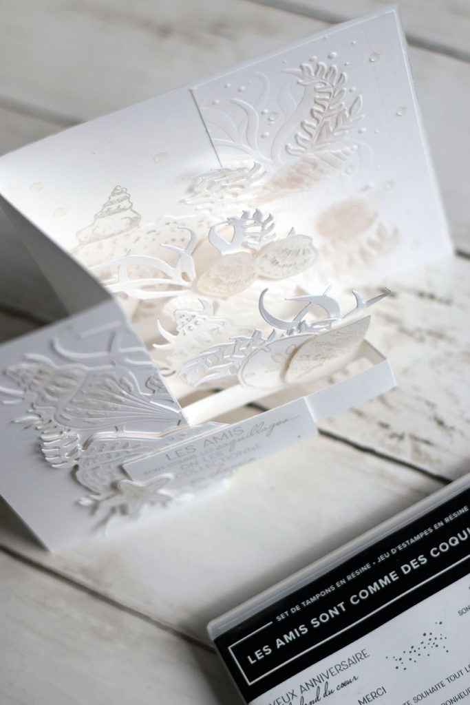 carte blanc sur blanc bloghop crazycuts 8