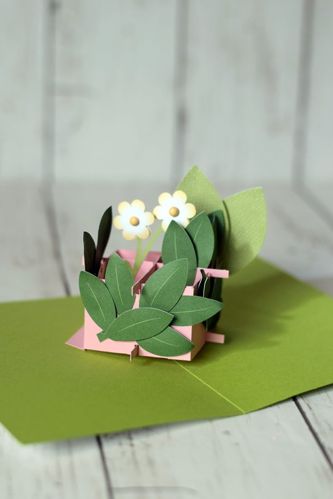 carte popup grille 3D végétation et fleurs